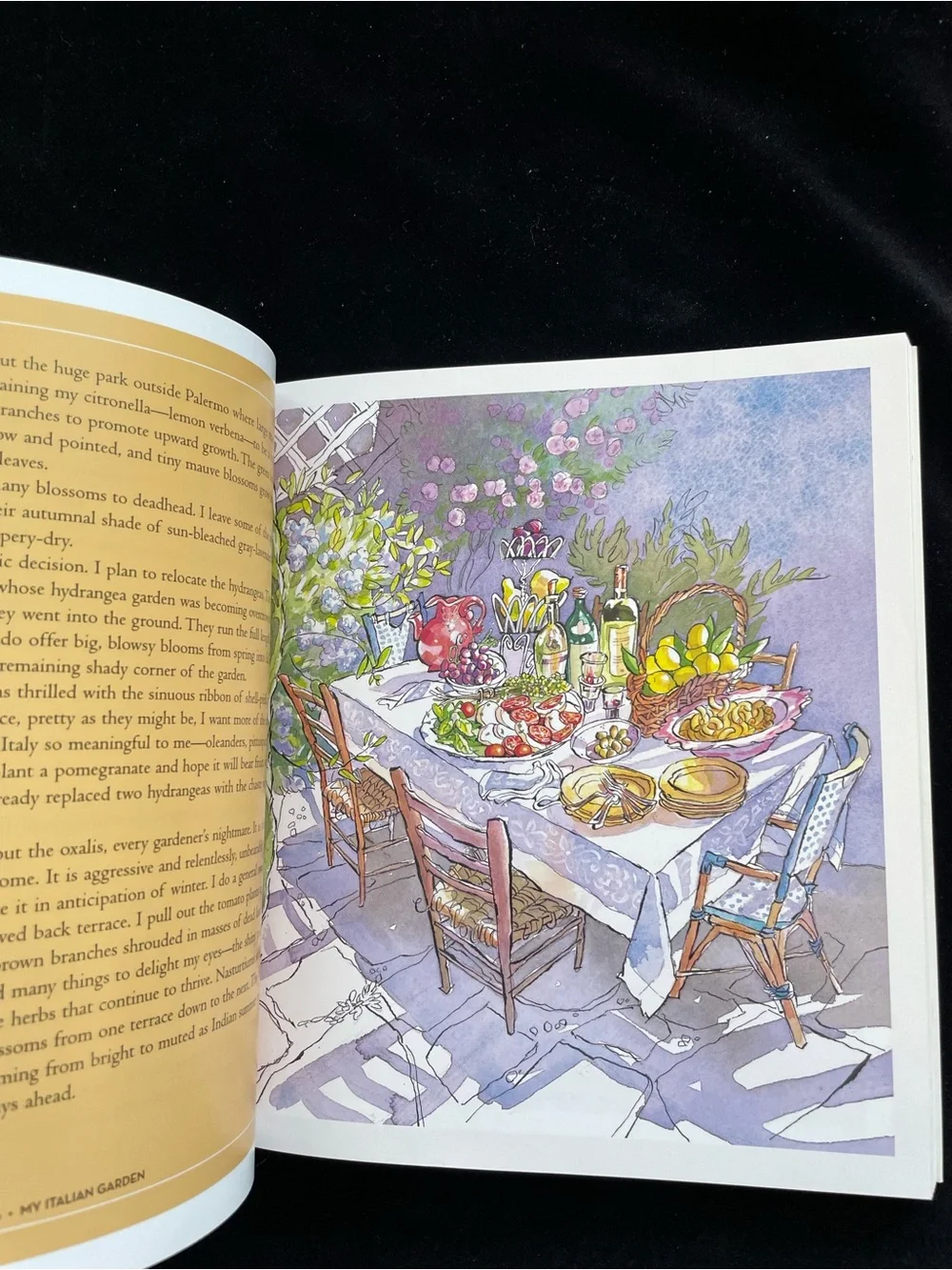 My Italian Garden: More than 125 Seasonal Recipes from a Garden Insp - VERY GOOD